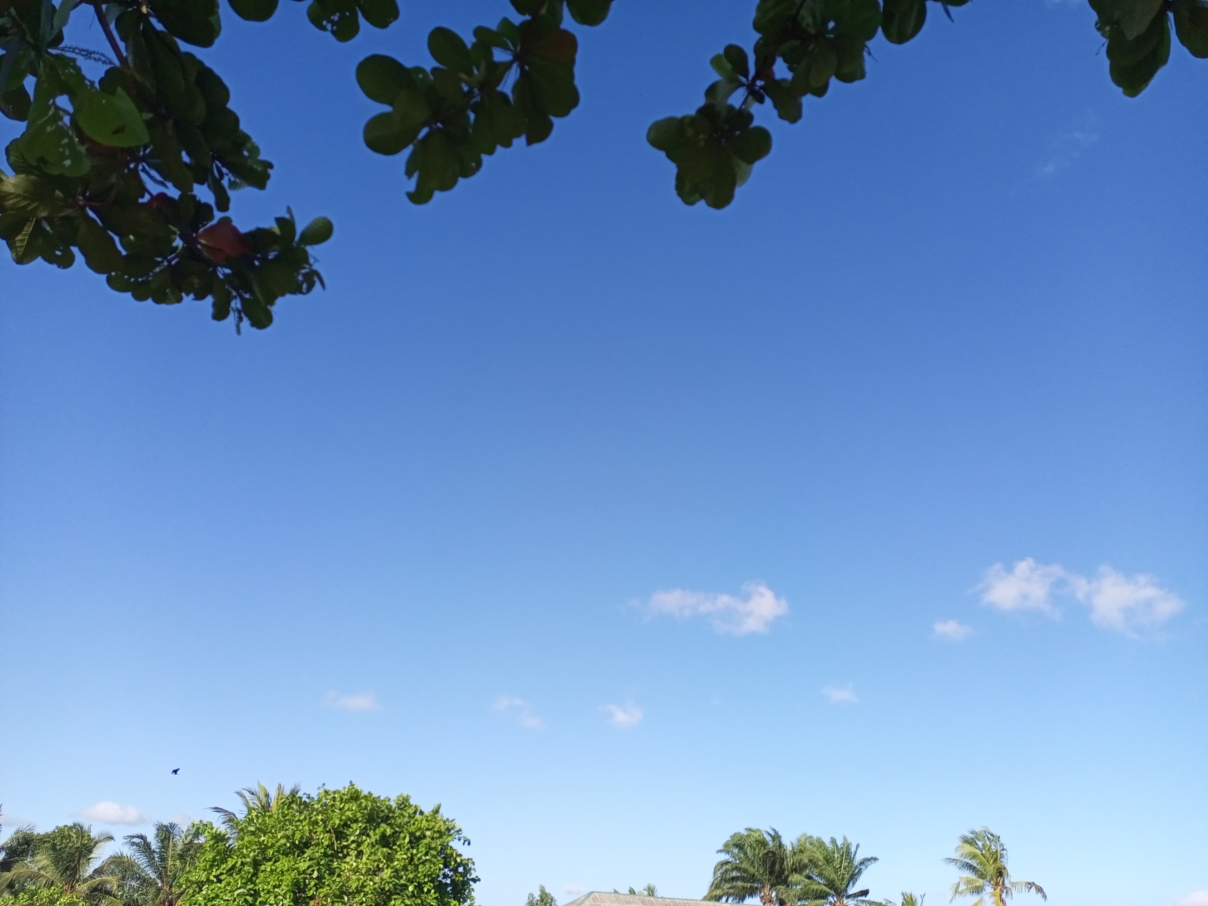 Terres agricoles