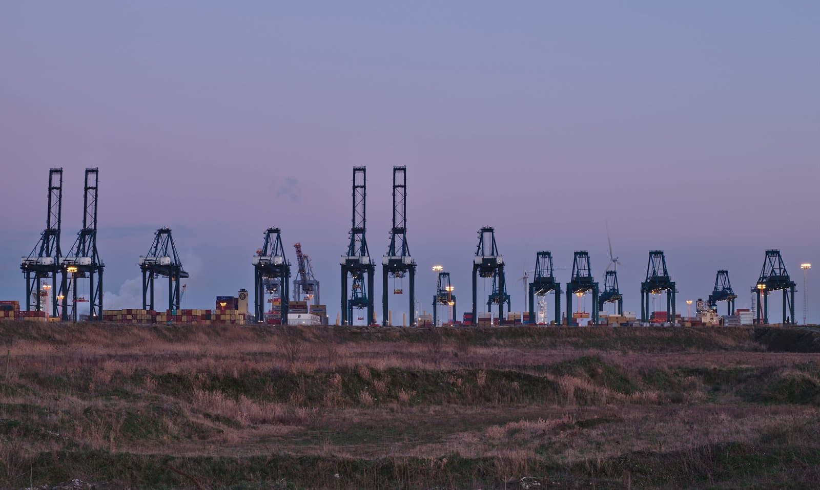 Portiques de manutention du terminal MPET-MSC-PSA à Kieldrecht (Anvers) — un des plus grands terminaux à conteneurs d'Eu