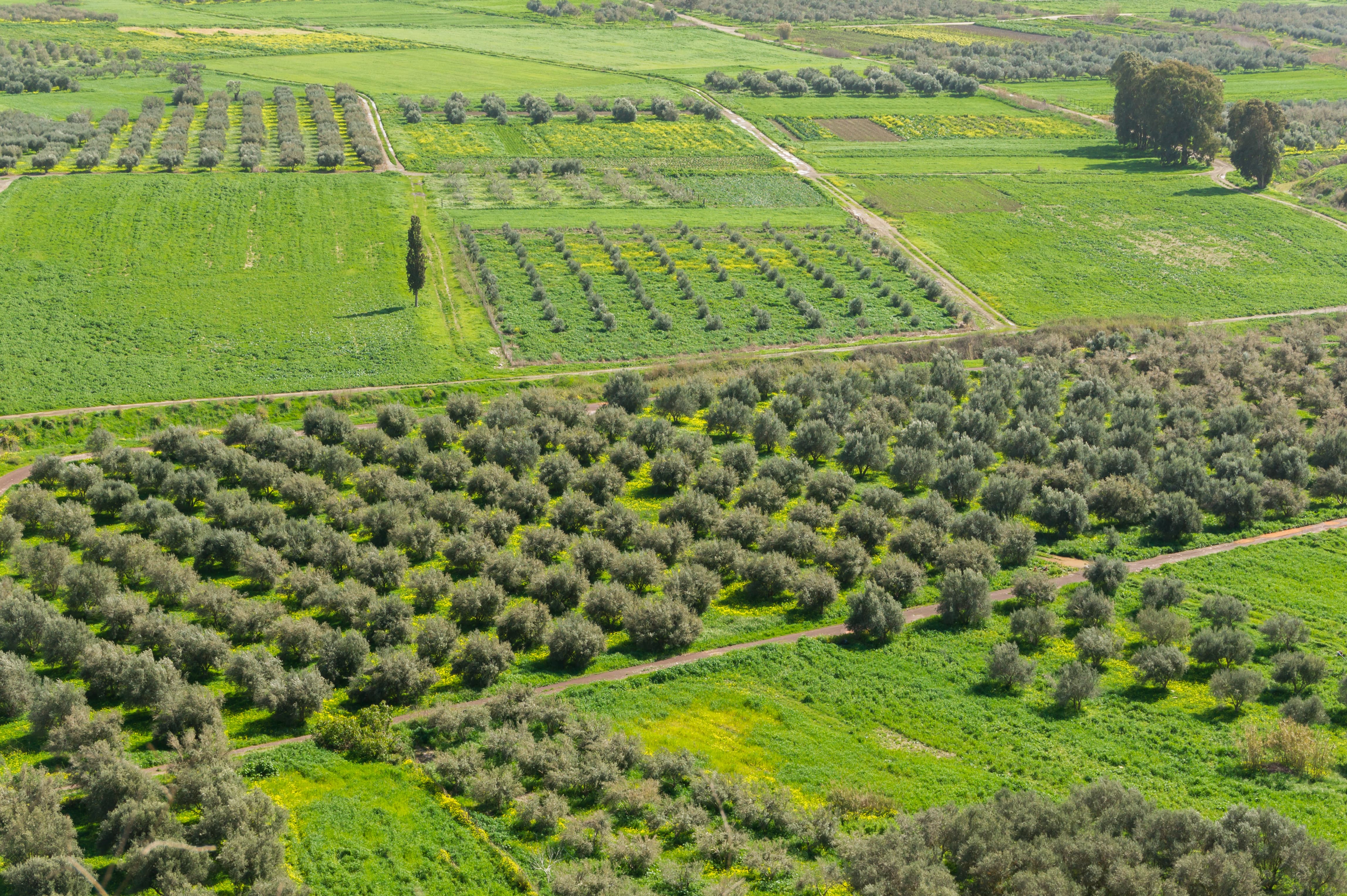 Plaine de Messara, Crète, Grèce